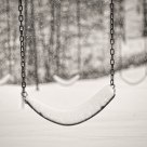 Winter in the Park